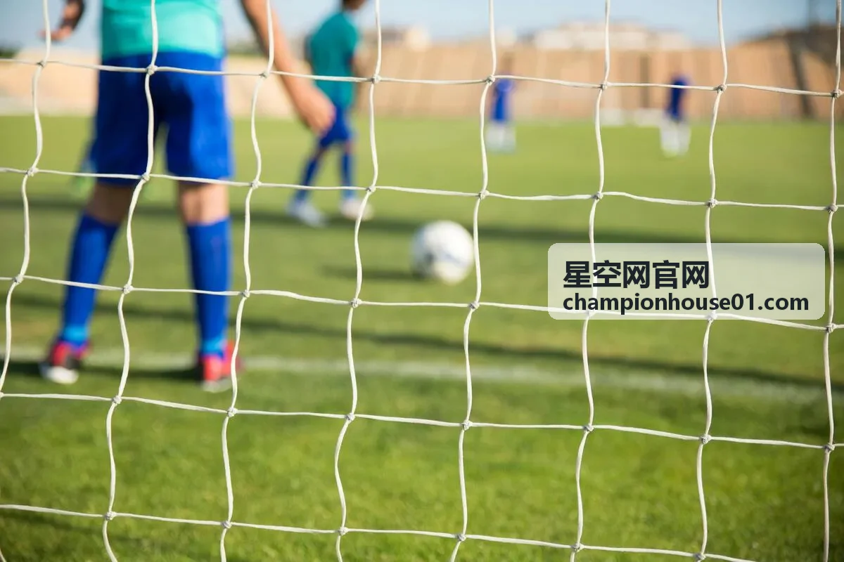 星空网官网投放素材迭代服务示意